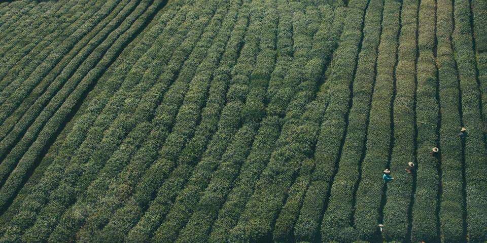 730p