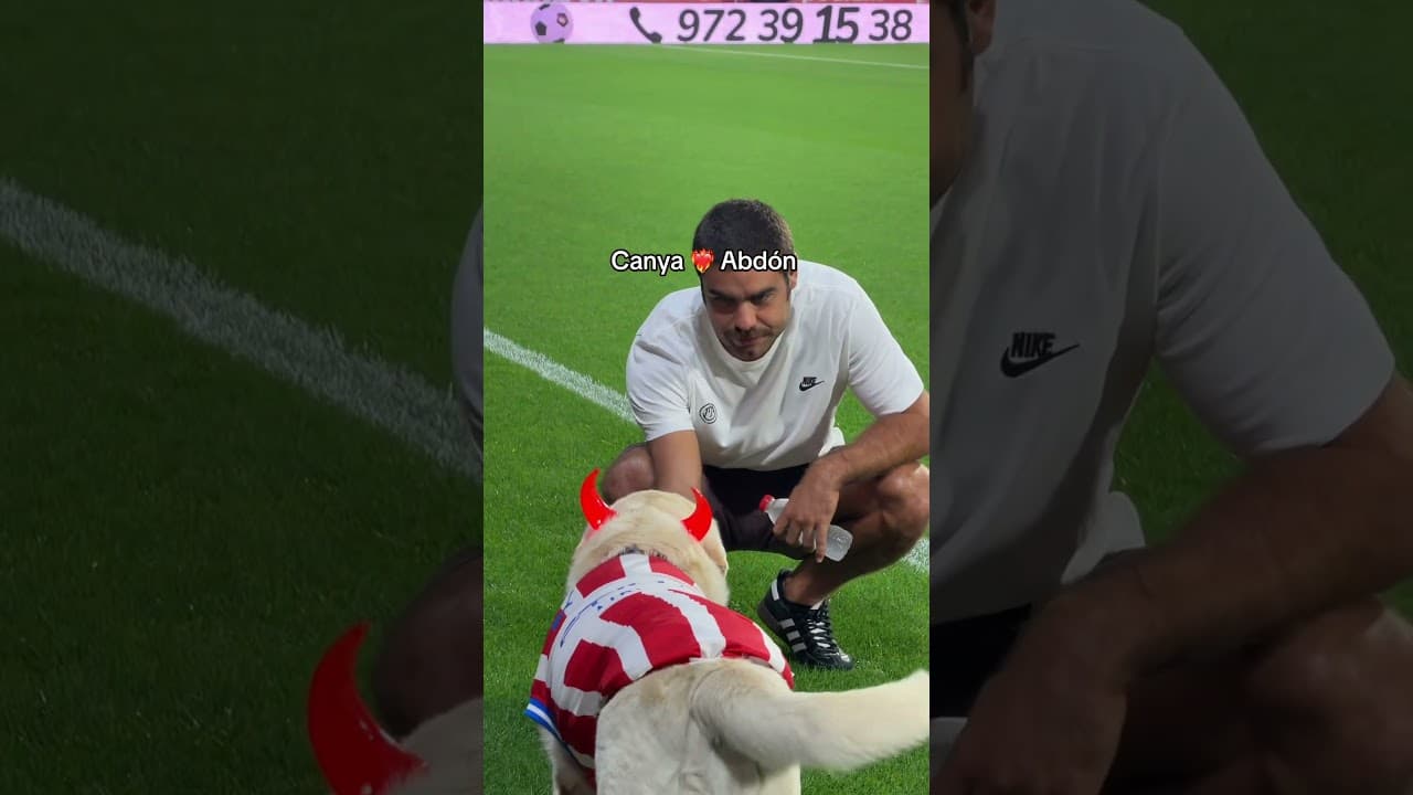 Maxresdefault
