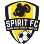 Football NSW Institute  (w)