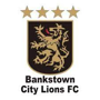 Bankstown City Lions FC