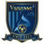 Sejong Vanesse FC
