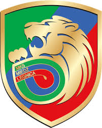 teamLogo